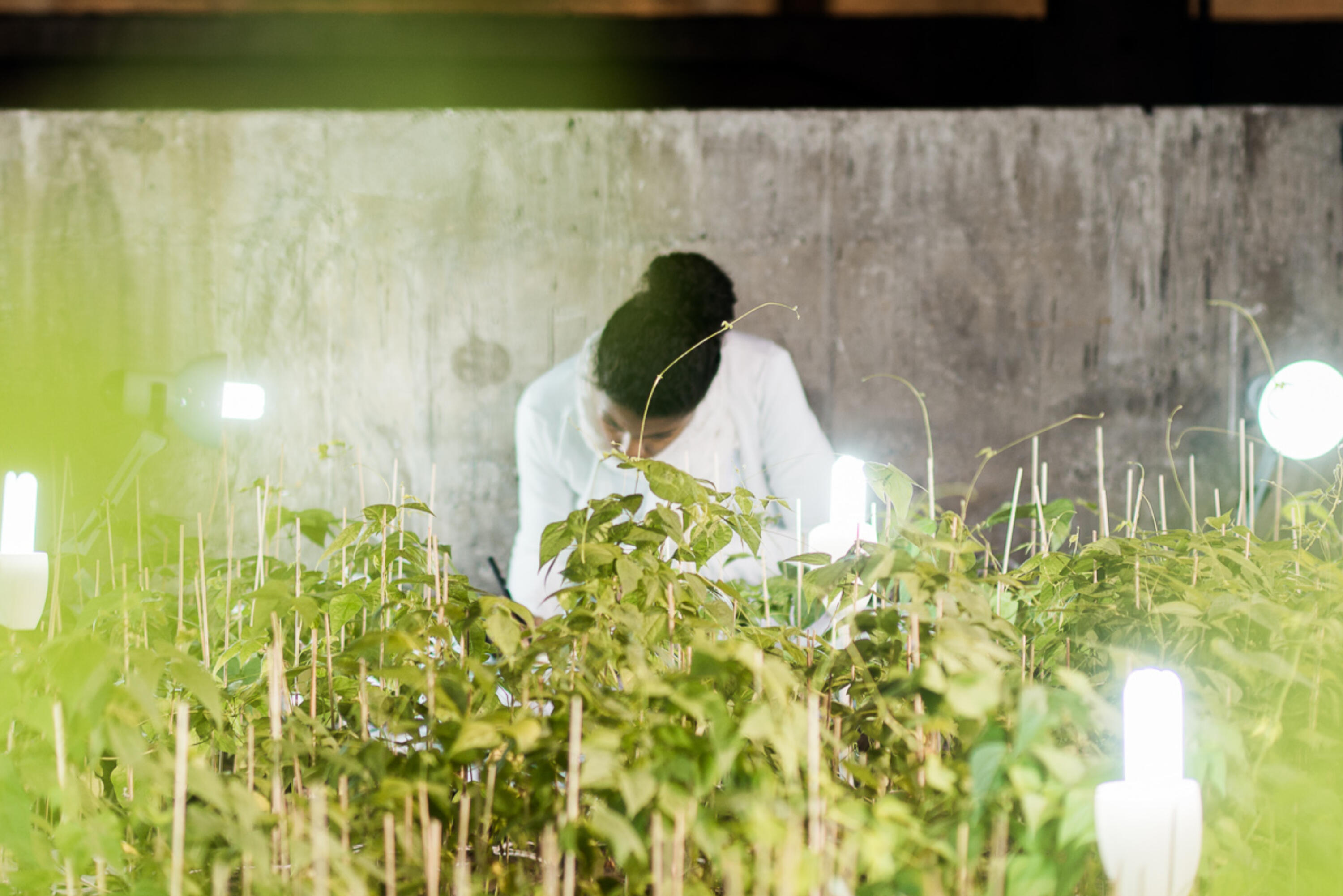 THE GARDEN, 2015. Two-month durational performance, Terra Comunal – Marina Abramović + MAI, São Paulo, Brazil. Ph Hick Duarte.