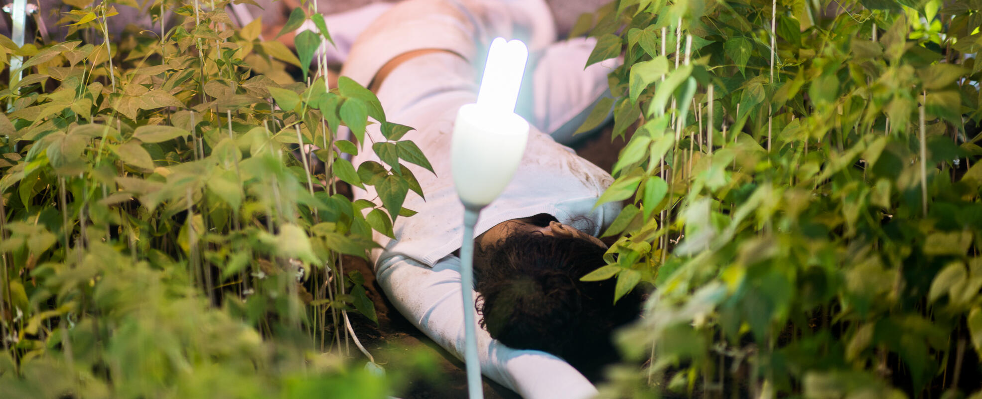 The Garden, 2015. Two-month durational performance, Terra Comunal – Marina Abramović + MAI, São Paulo, Brazil. Ph Hick Duarte.